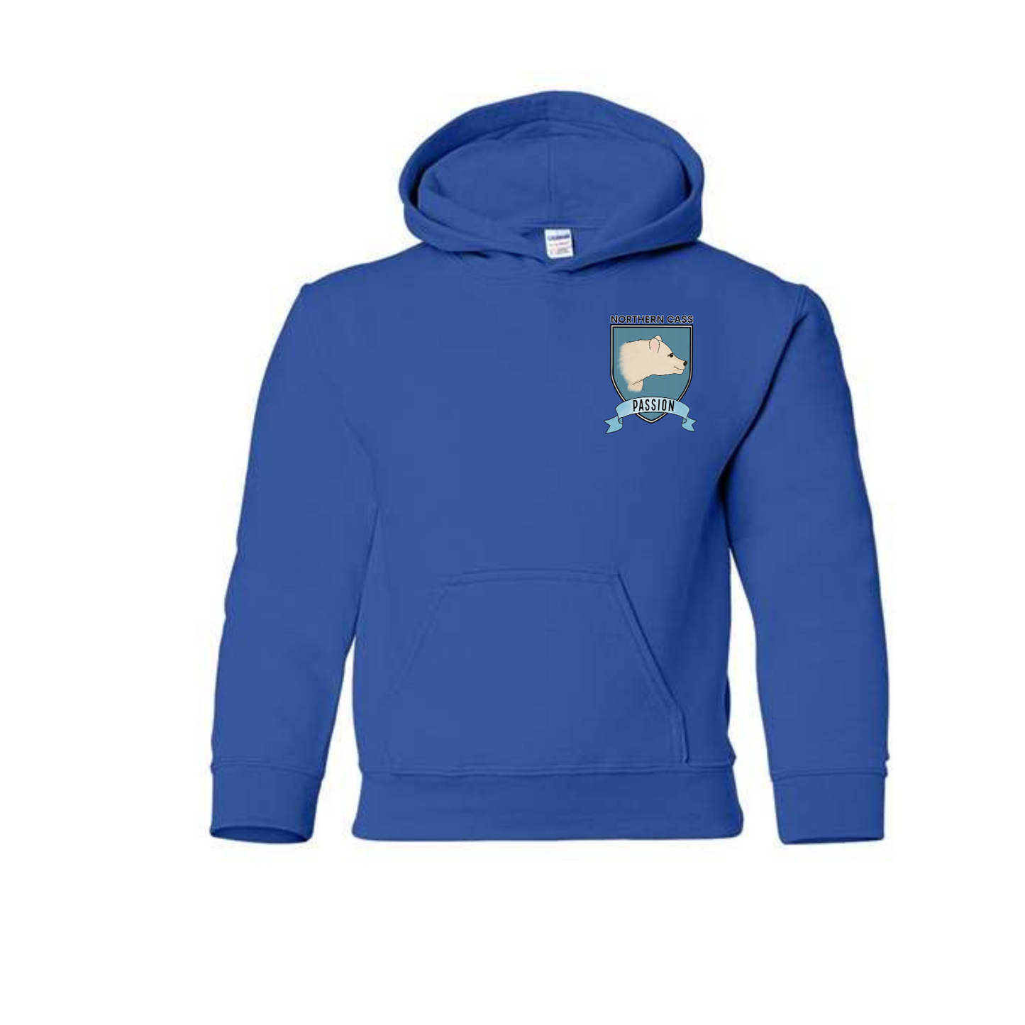 NC House Colors Youth Hoodie