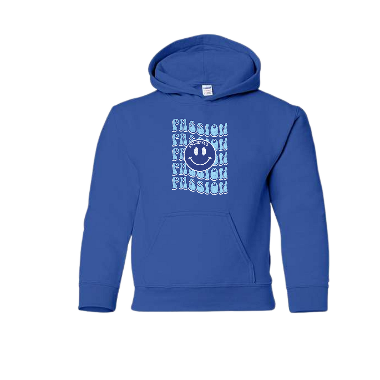 NC House Colors Youth Hoodie