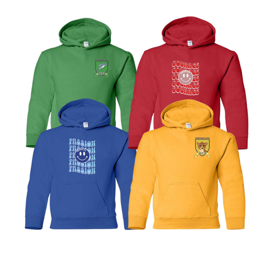 NC House Colors Youth Hoodie